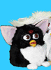 Click here to order Furbys!