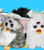 Click here to order Furbys!